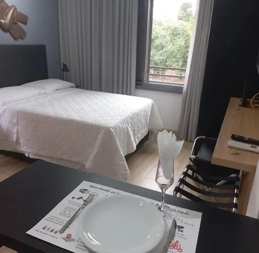 Apartamento Estúdio Frente Parque Da Redenção Com Vista E Piscina *